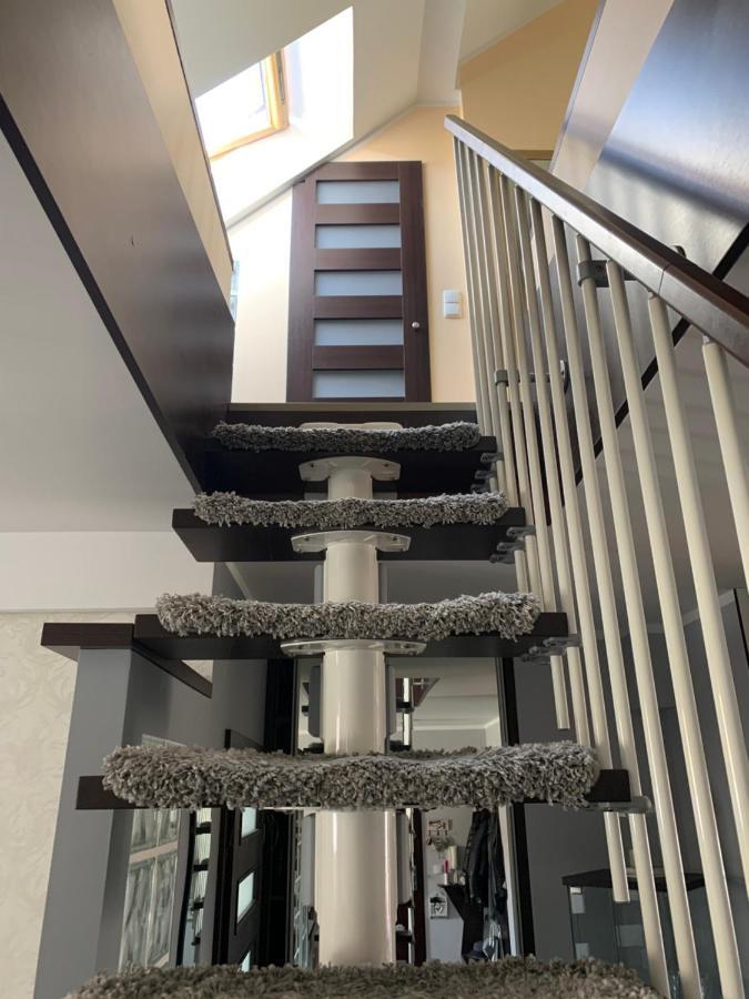 גיז'יצקו Silver Mazury Apartament מראה חיצוני תמונה
